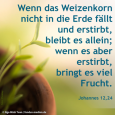 Wochenspruch Lätare