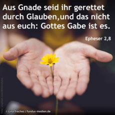 Wochenspruch 5. Sonntag nach Trinitatis