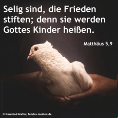 Wochenspruch drittletzter Sonntag im Kirchenjahr