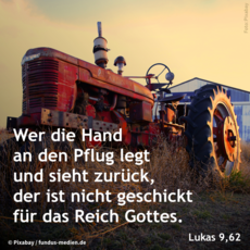 Wochenspruch Okuli