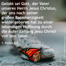 Wochenspruch Quasimodogeniti