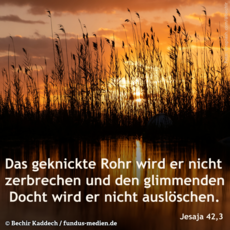 Wochenspruch 12. Sonntag nach Trinitatis